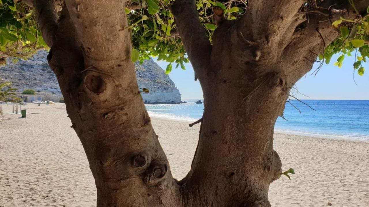 Casa El Algarrobico Villa Агуа Амарга Екстериор снимка
